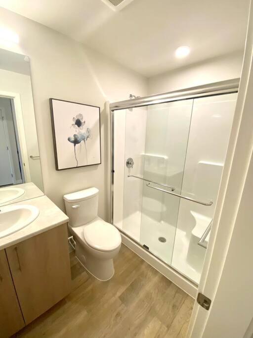 Lovely Brand New Suite ซิดนีย์ ภายนอก รูปภาพ